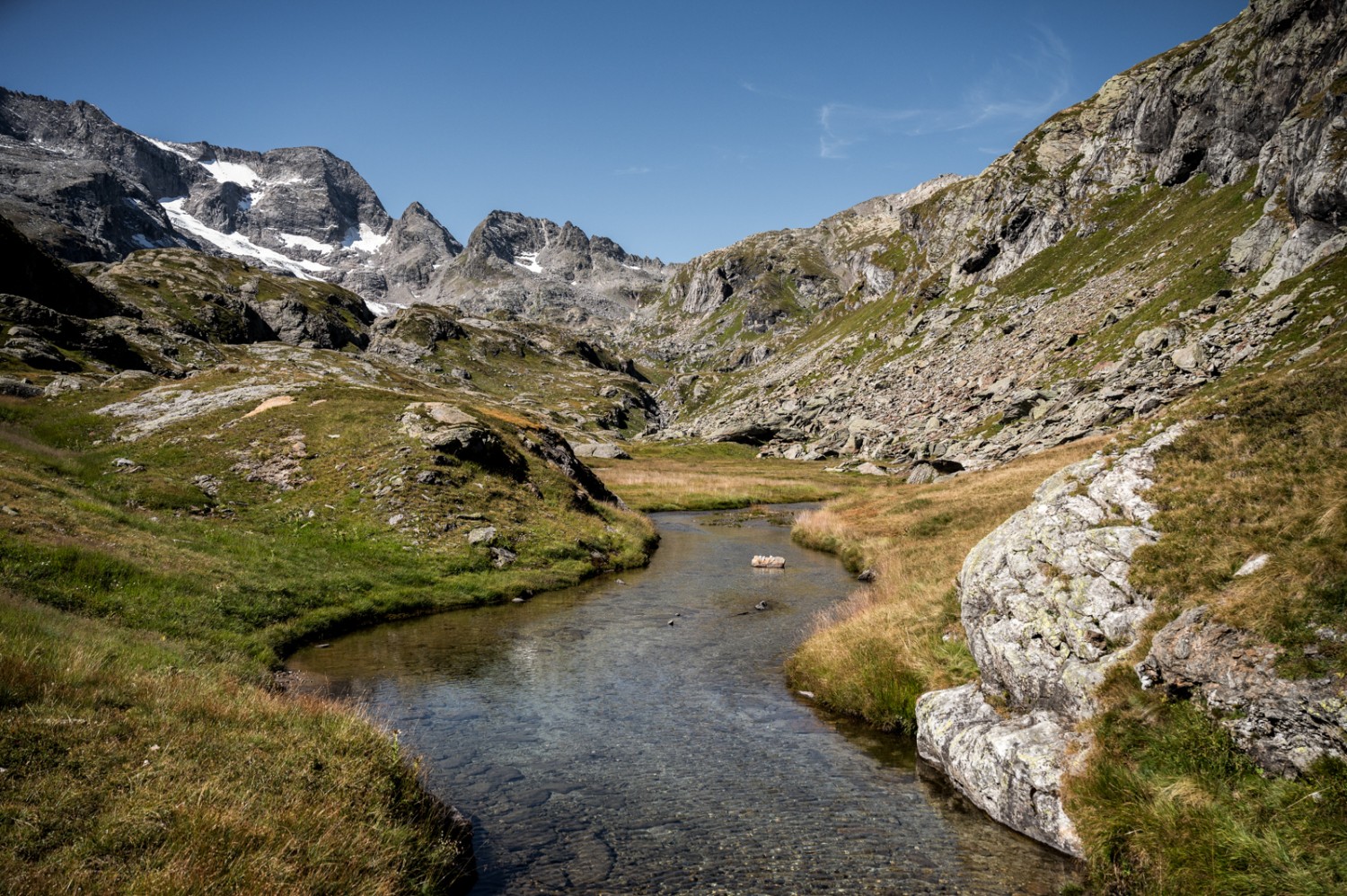 Uno dei ruscelli dell’altopiano, che poi si uniscono per formare il ruscello Bavona. Immagine: Jon Guler