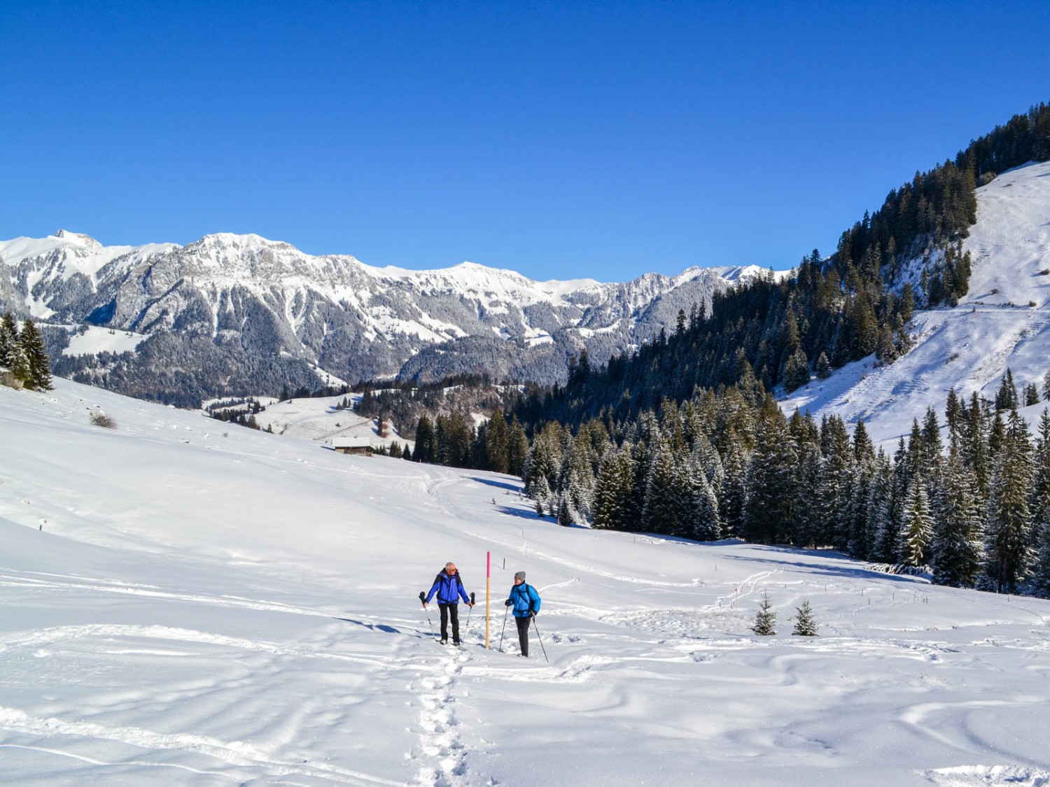 Der Schneeschuhtrail führt quer den Hang hinauf zur Vorderi Site. Bild: Sabine Joss