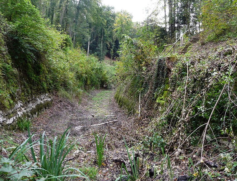 Mitten im Wald fuhren einst die Schiffe: 60 Meter langes Relikt des Kanals. Bild: Hans Schüpbach, KGS