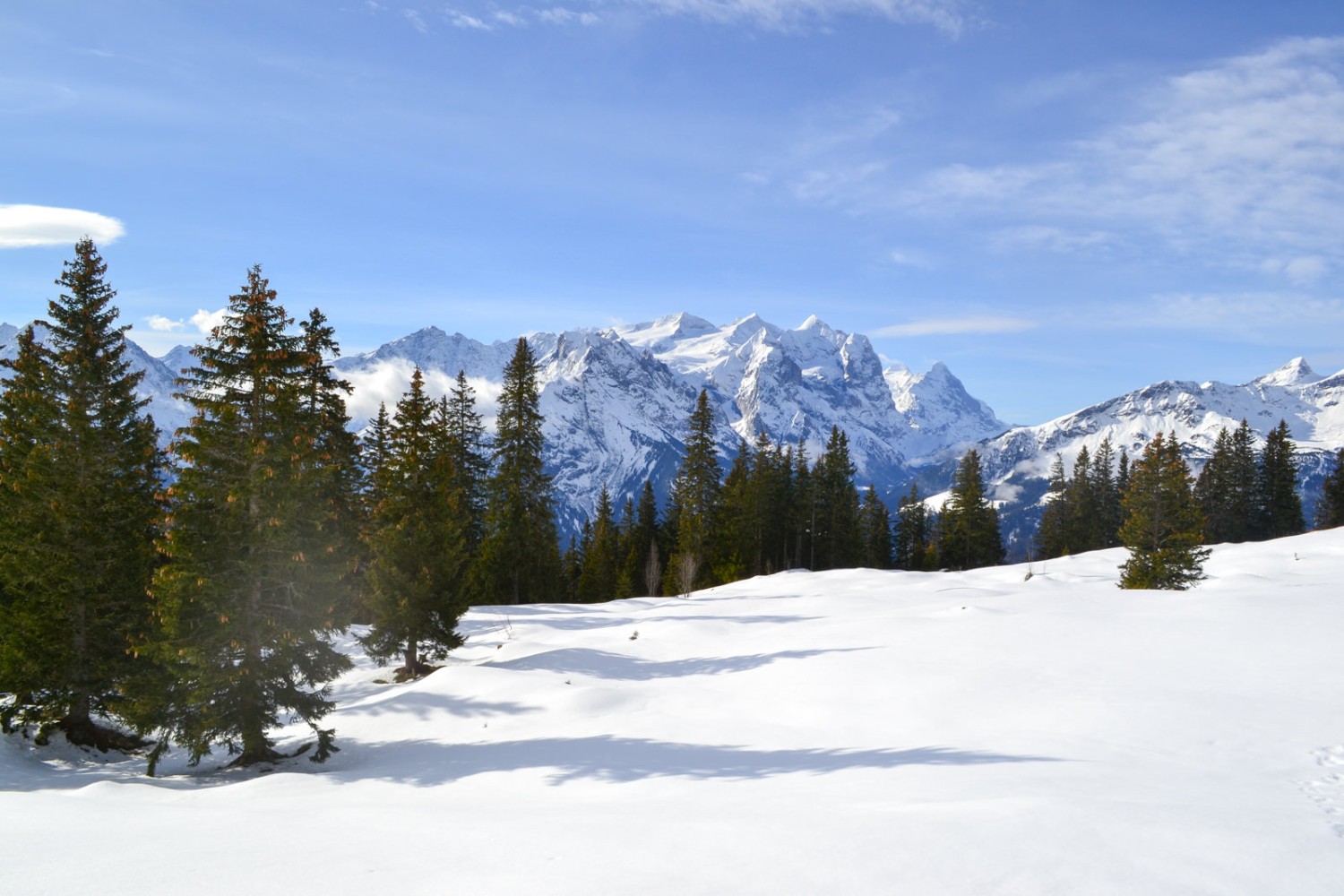 Zwischen Mägisalp und Käserstatt.