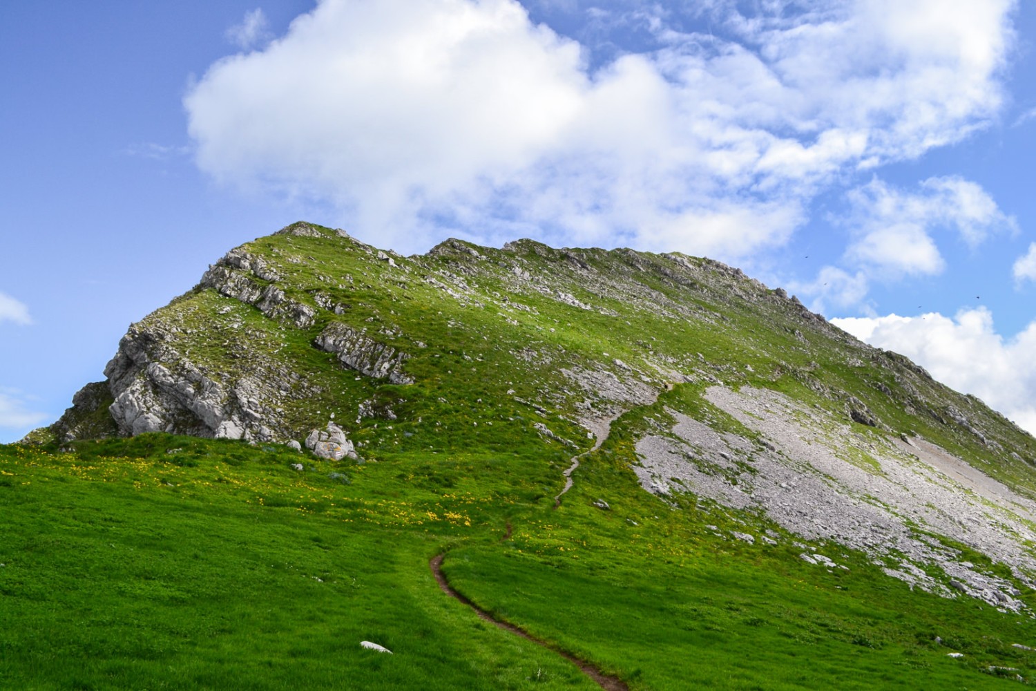 Le sommet du Kaiseregg n’est plus très loin! Photo: Sabine Joss