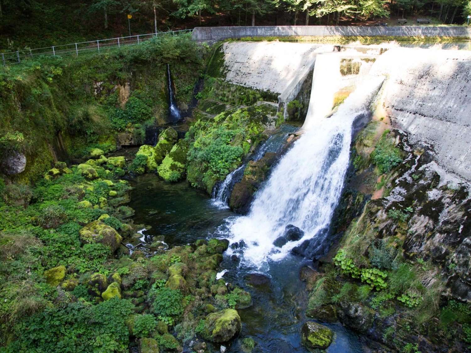 Grüne Wanderung mit viel Wasser. Bild: Markus Ruff