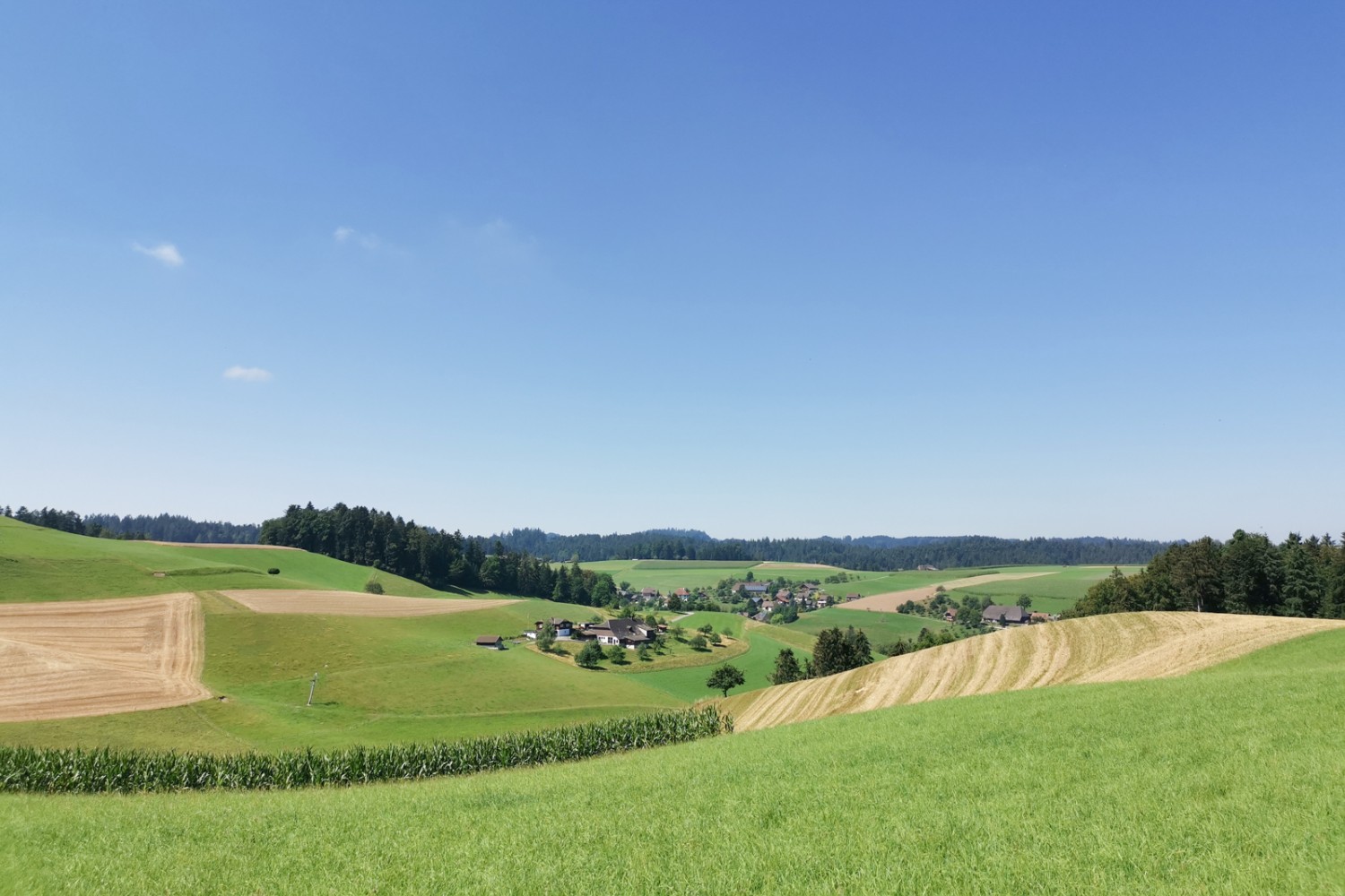 L'escursione conduce attraverso il tipico paesaggio collinare dell'Emmental.