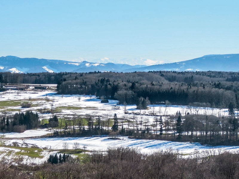 Ausblick von der Schartenflue ins Schwarzbubenland. Bild: Andreas Staeger