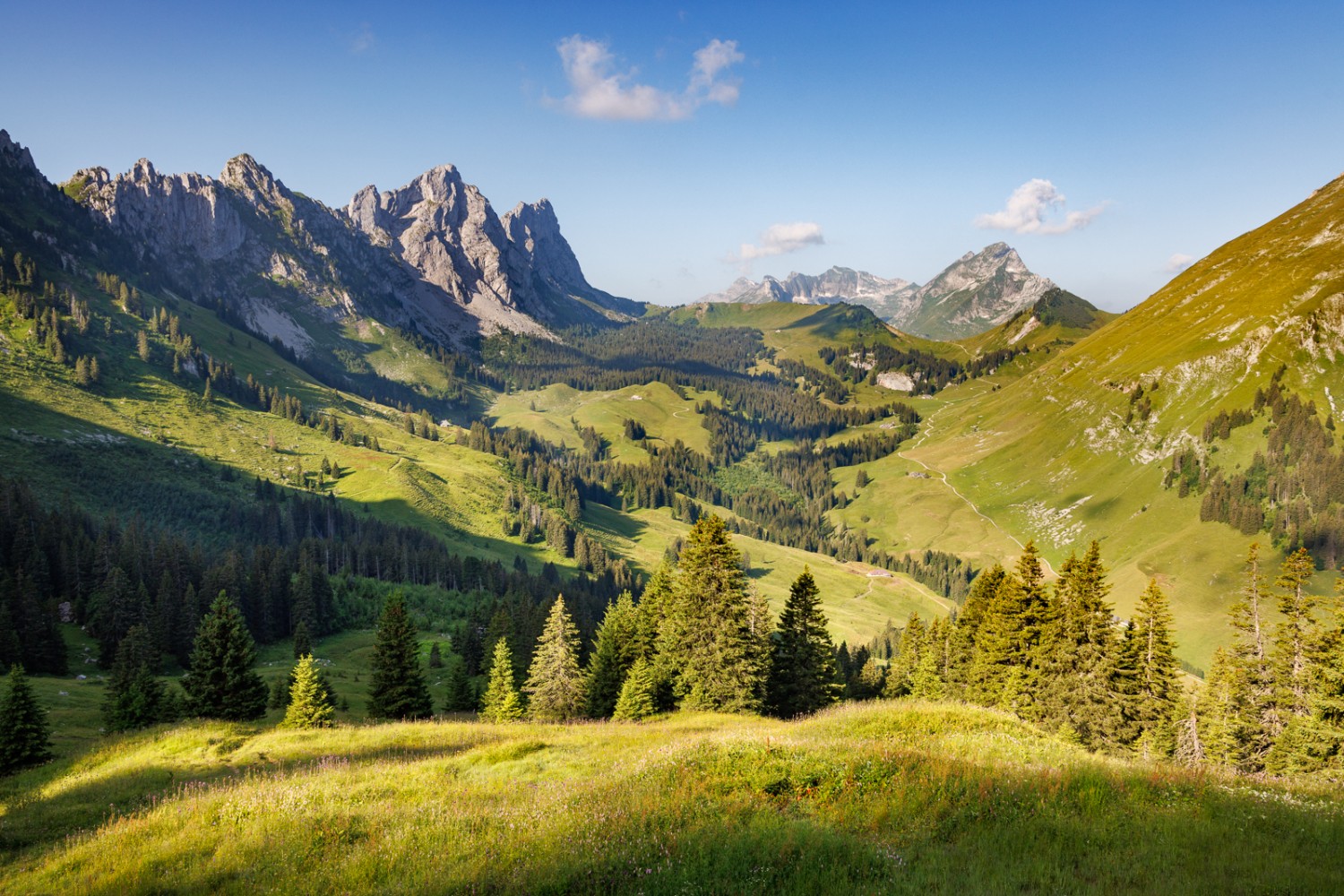 Beim Chalet du Soldat kann man die grüne Voralpenlandschaft auf sich wirken lassen. Bild: Severin Nowacki