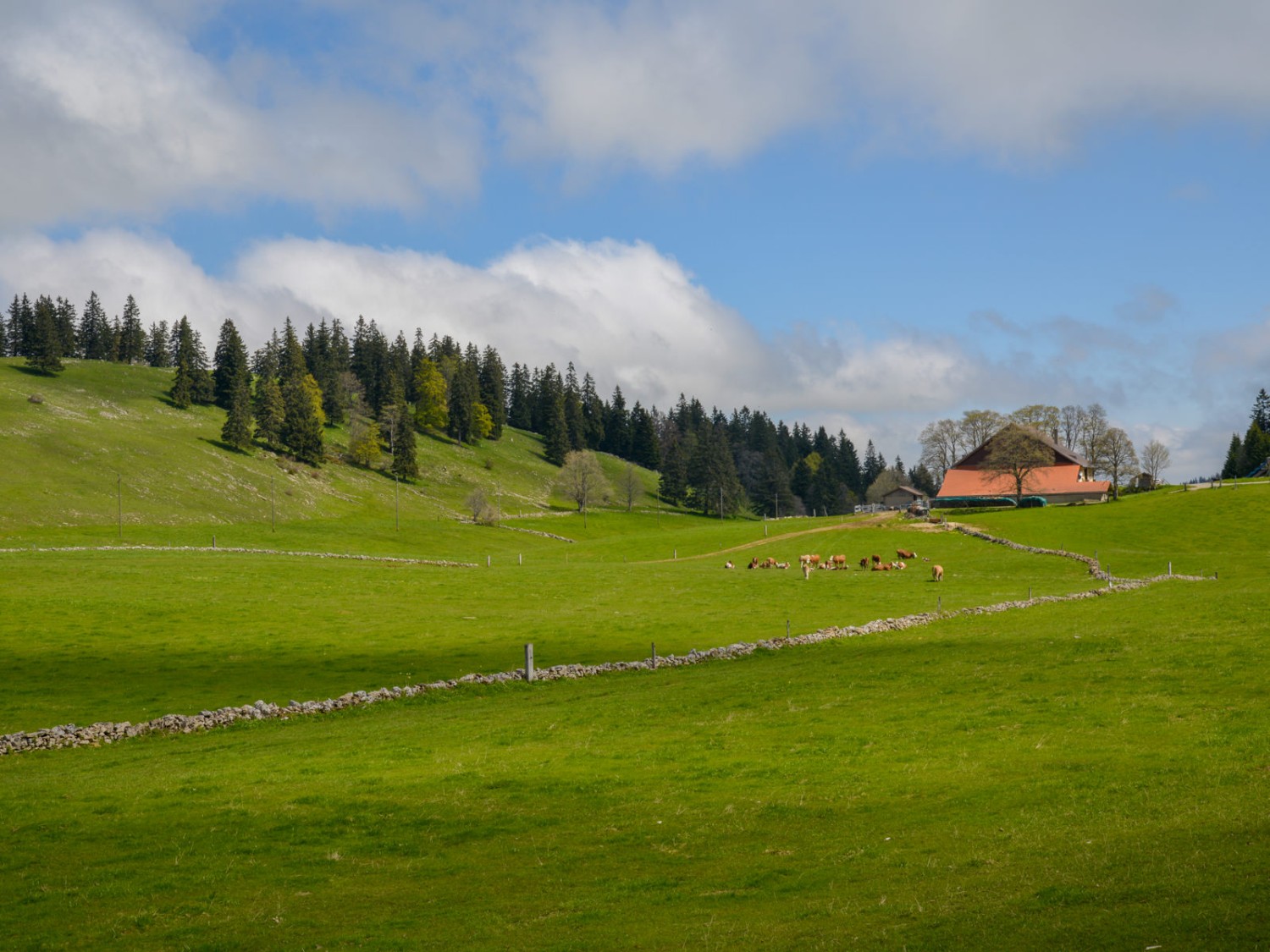 Für Bauern, die mit ihren Feldern, Äckern und Tieren vom Wetter abhängig sind, hat der Jura seine Herausforderungen.