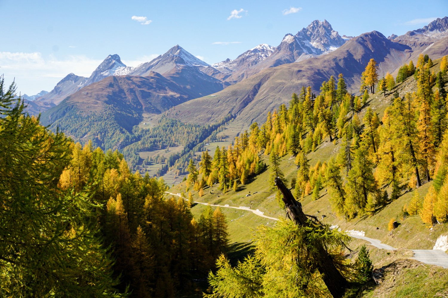 Ausblick beim Rückweg nach Zuoz. Bild: Simon Guldimann