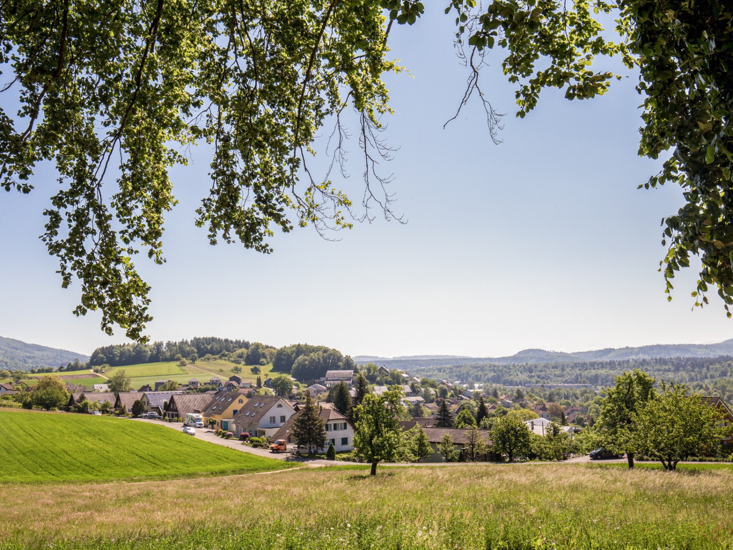 Im Aufstieg zum Bergmatthof geht der Weg meist durch hübschen Mischwald, in kurzen Abschnitten auch vorbei an blumigen Wiesen. Bild: Daniel Fleuti