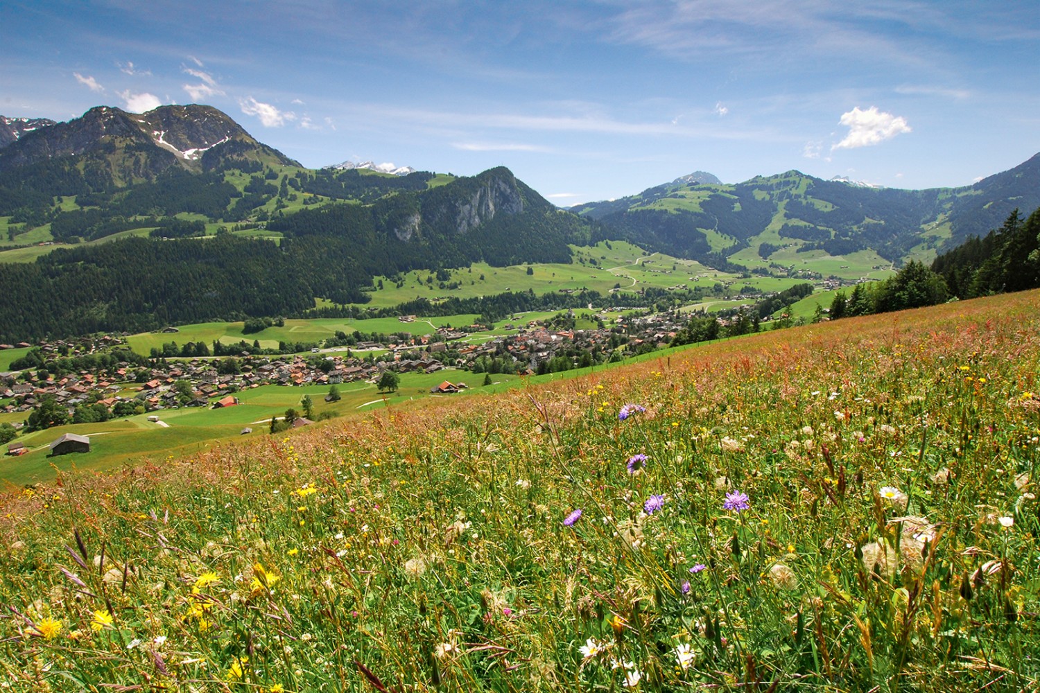 Blick auf Château-d’Œx im Saanetal.