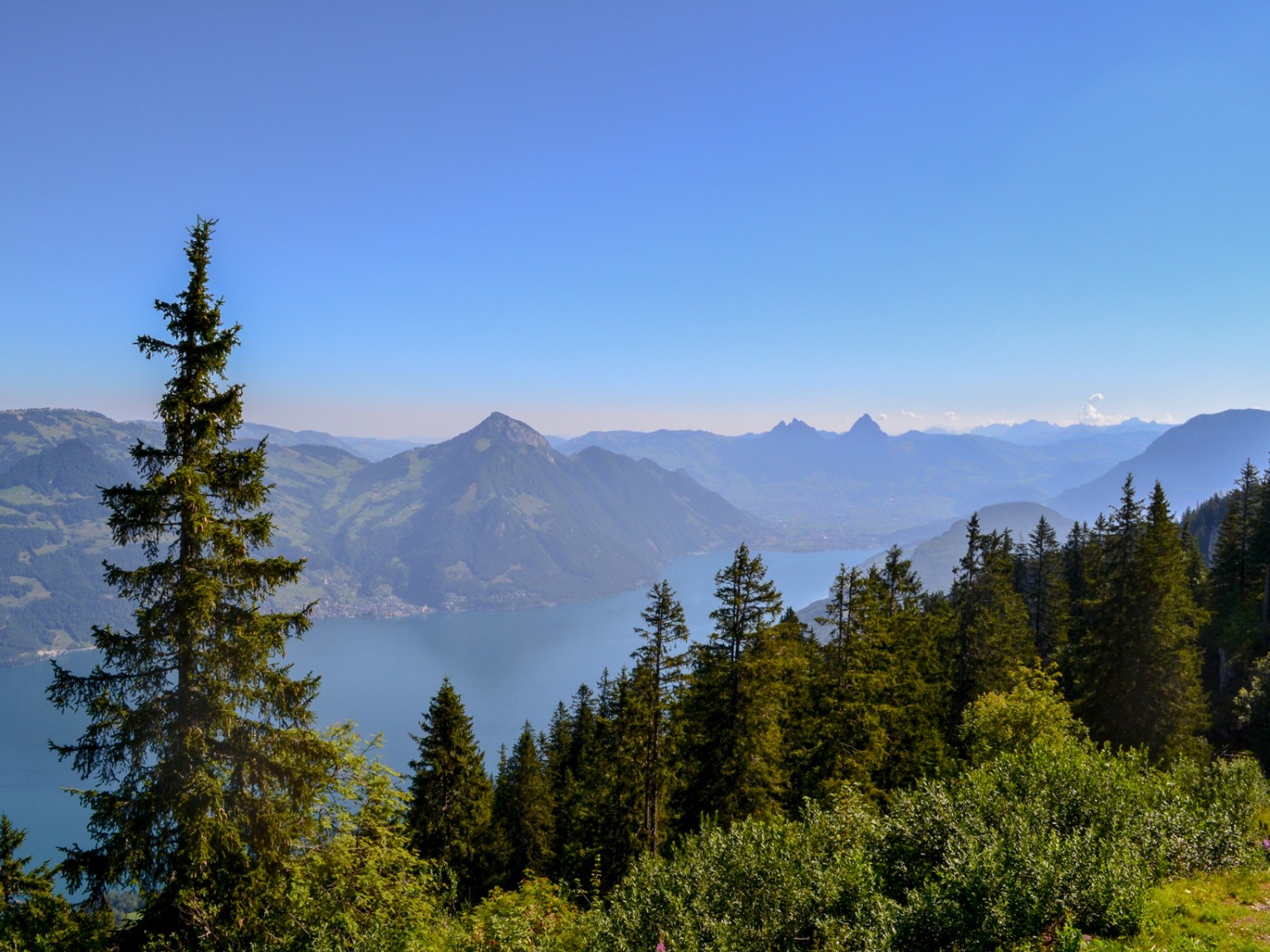 Vue depuis Klewenalp avec le lac des Quatre-Cantons en contrebas et les sommets des Mythen à l’arrière. Photo: Sabine Joss