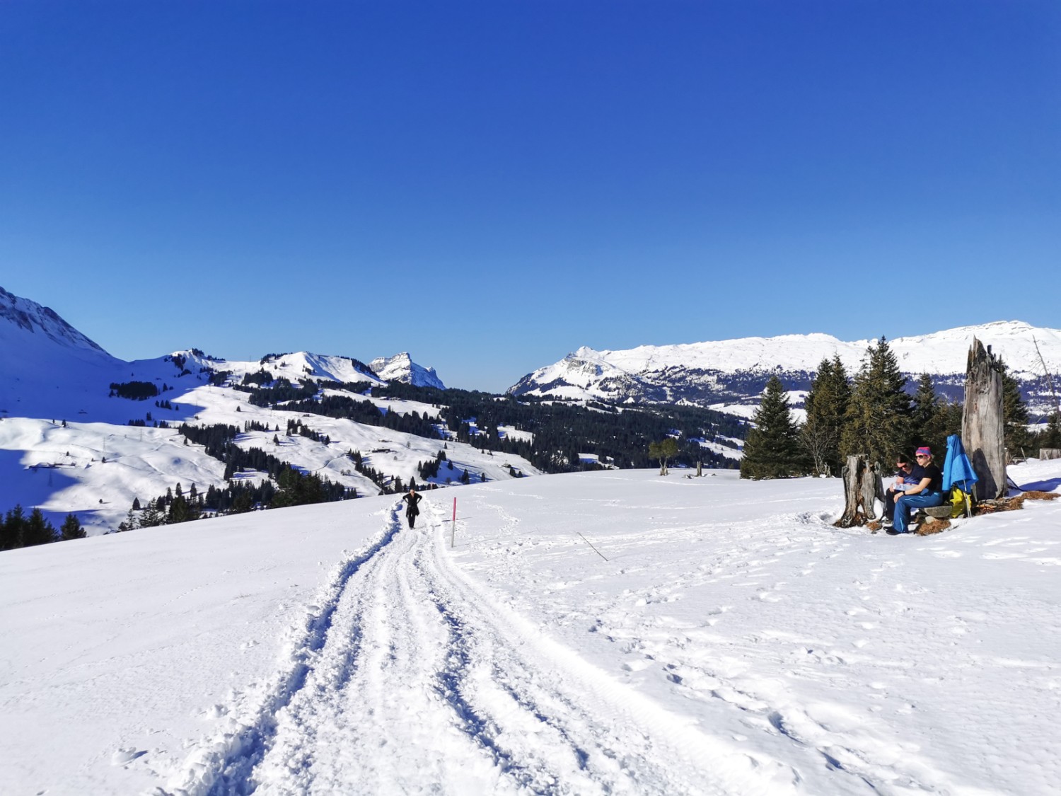 Bei Schwendeli, im Hintergrund Hohgant und Schratteflue. Bild: Andreas Staeger