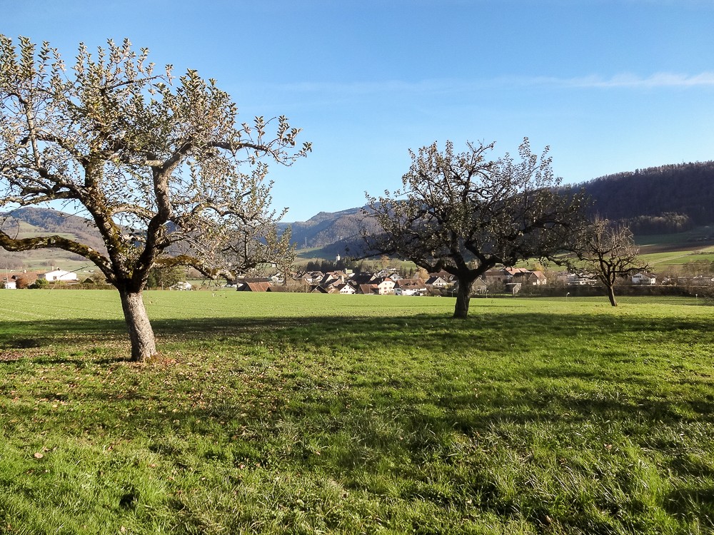 Corban, un des villages du Val Terbi. Photo: Miroslaw Halaba