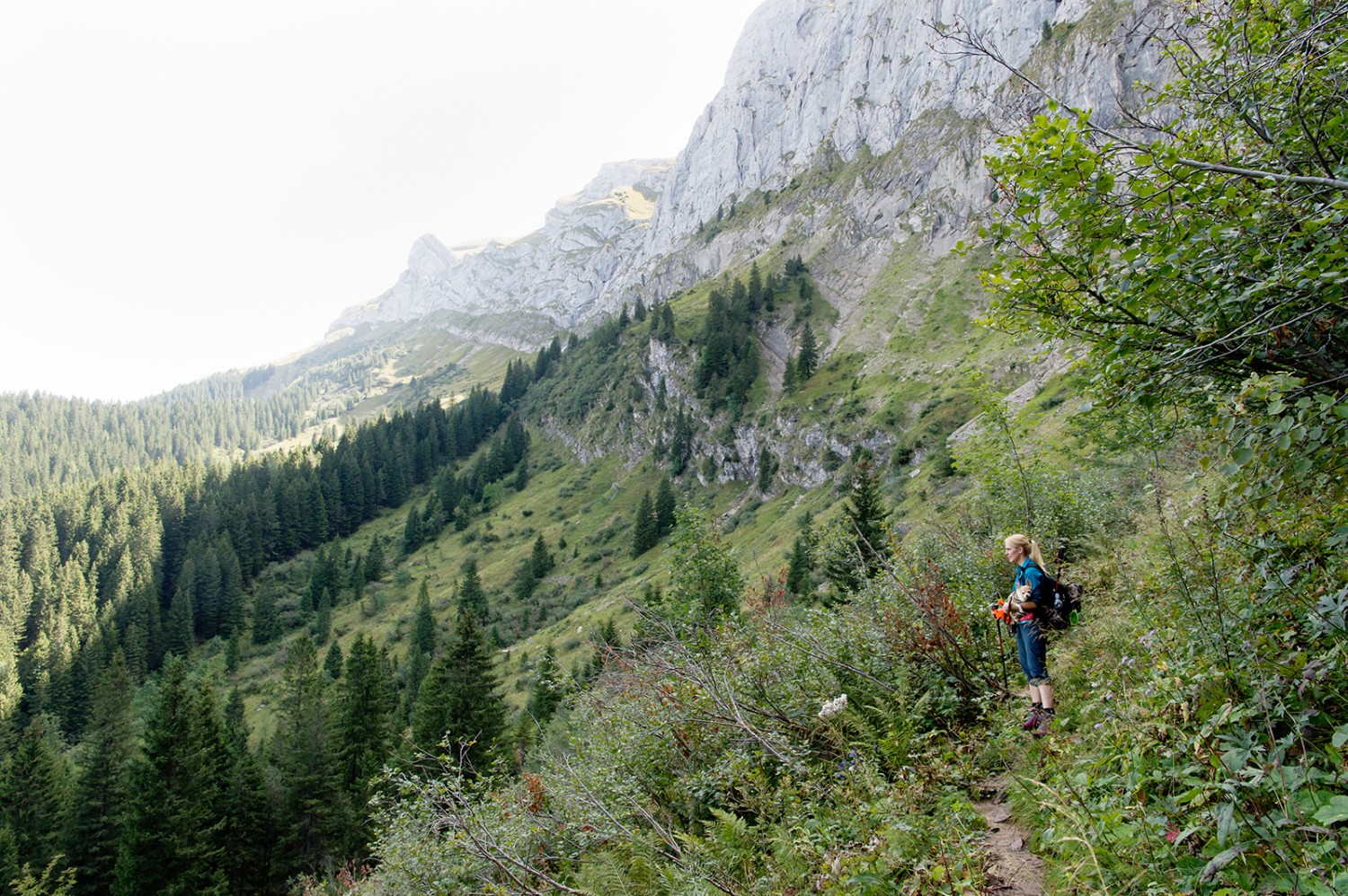 Dans la montée entre l'Eigental et le Rottosse. Bilder: Raja Läubli