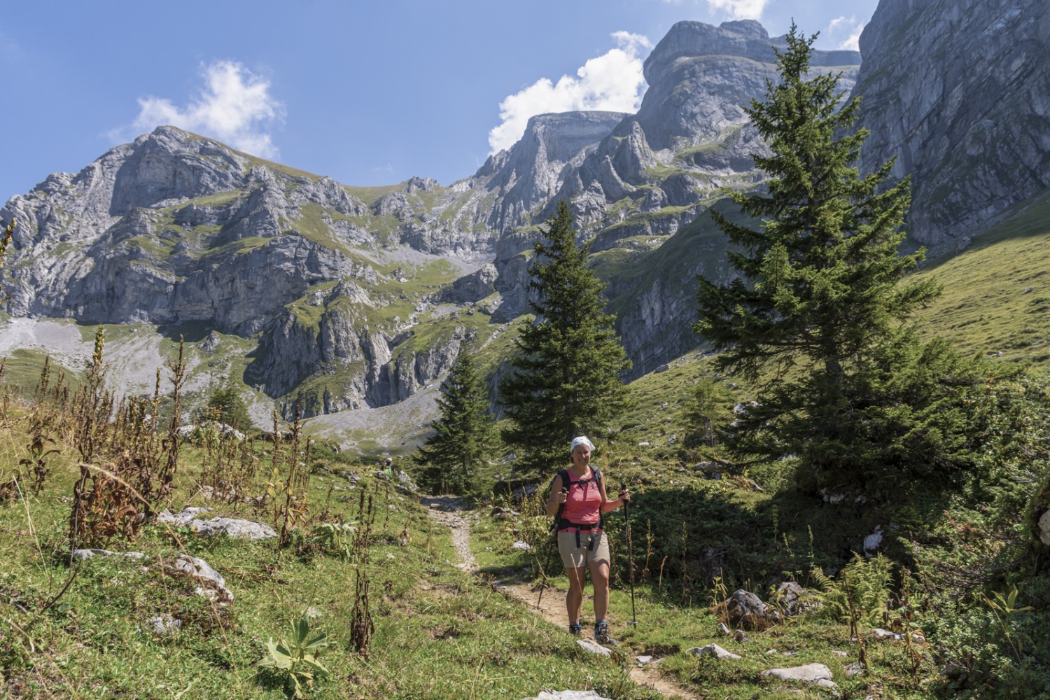 Kurz vor der Walenalp säumen Steinblöcke und Tannen den Wanderweg. Bild: Franz Ulrich