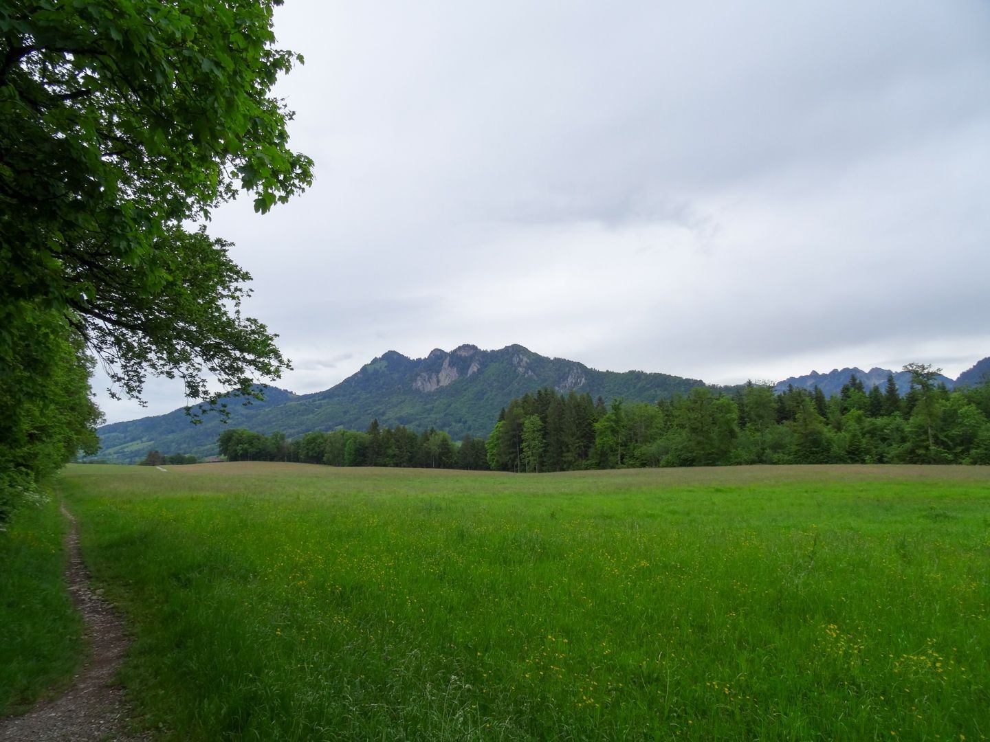 Sur un sentier naturel, offrant une belle vue sur les Préalpes fribourgeoises