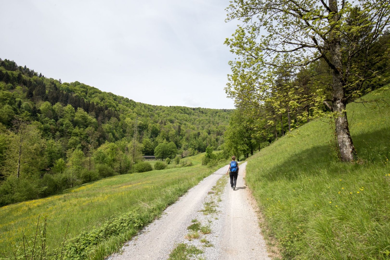 Le chemin est tantôt large, tantôt étroit.