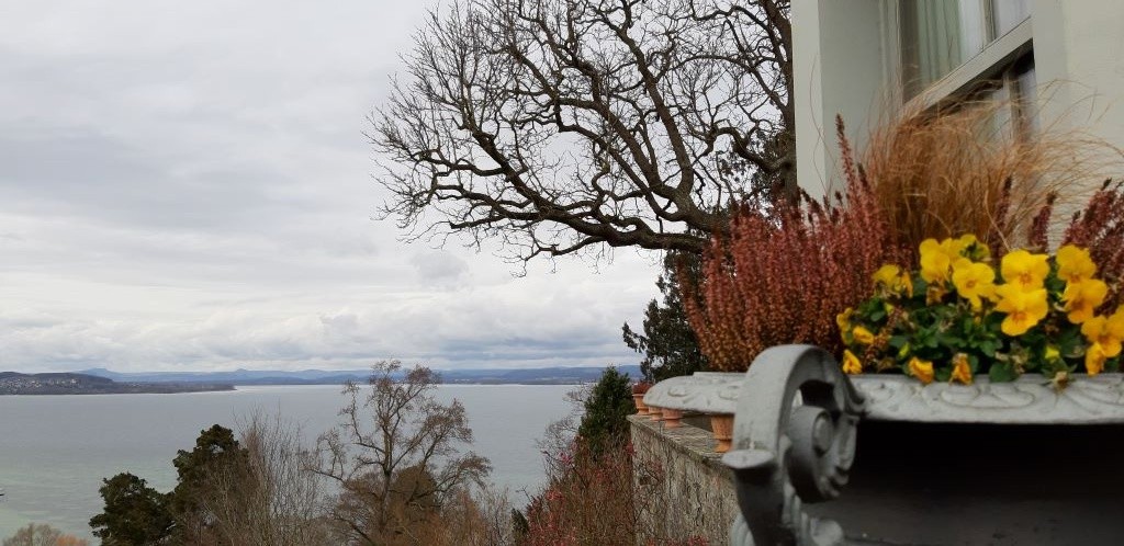 Blick auf den Untersee vom Schloss Arenenberg