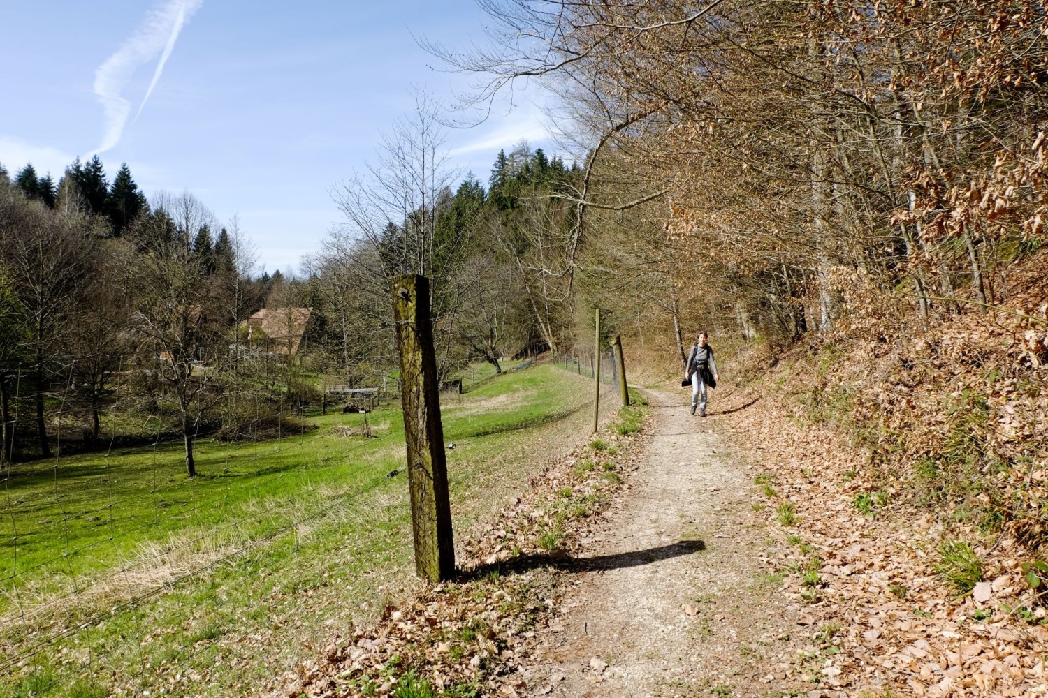 Le chemin, qui passe devant le Grabenöli et le cours d’eau Mülibach, mène à Oberwil bei Büren. Jusqu’au début du XXe siècle, on pressait des noix dans ce moulin pour en faire de l’huile et on broyait des os pour obtenir de la farine épandue comme engrais dans les champs.