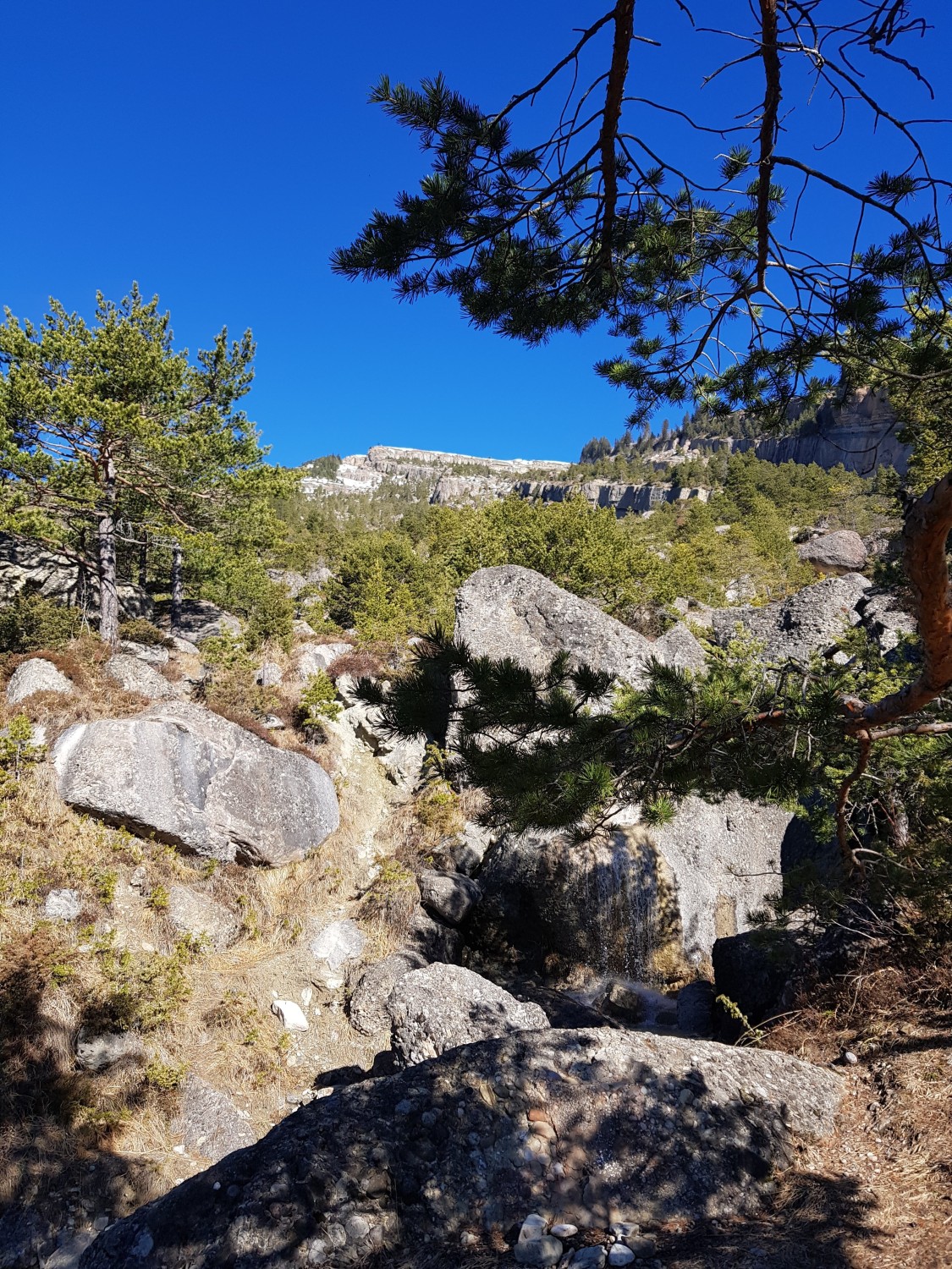 Foto: Stefan Gwerder, Schwyzer Wanderwege