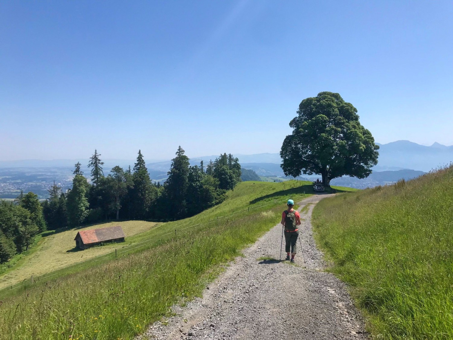 Die Wanderung führt über den Blatterberg Richtung Luzern.