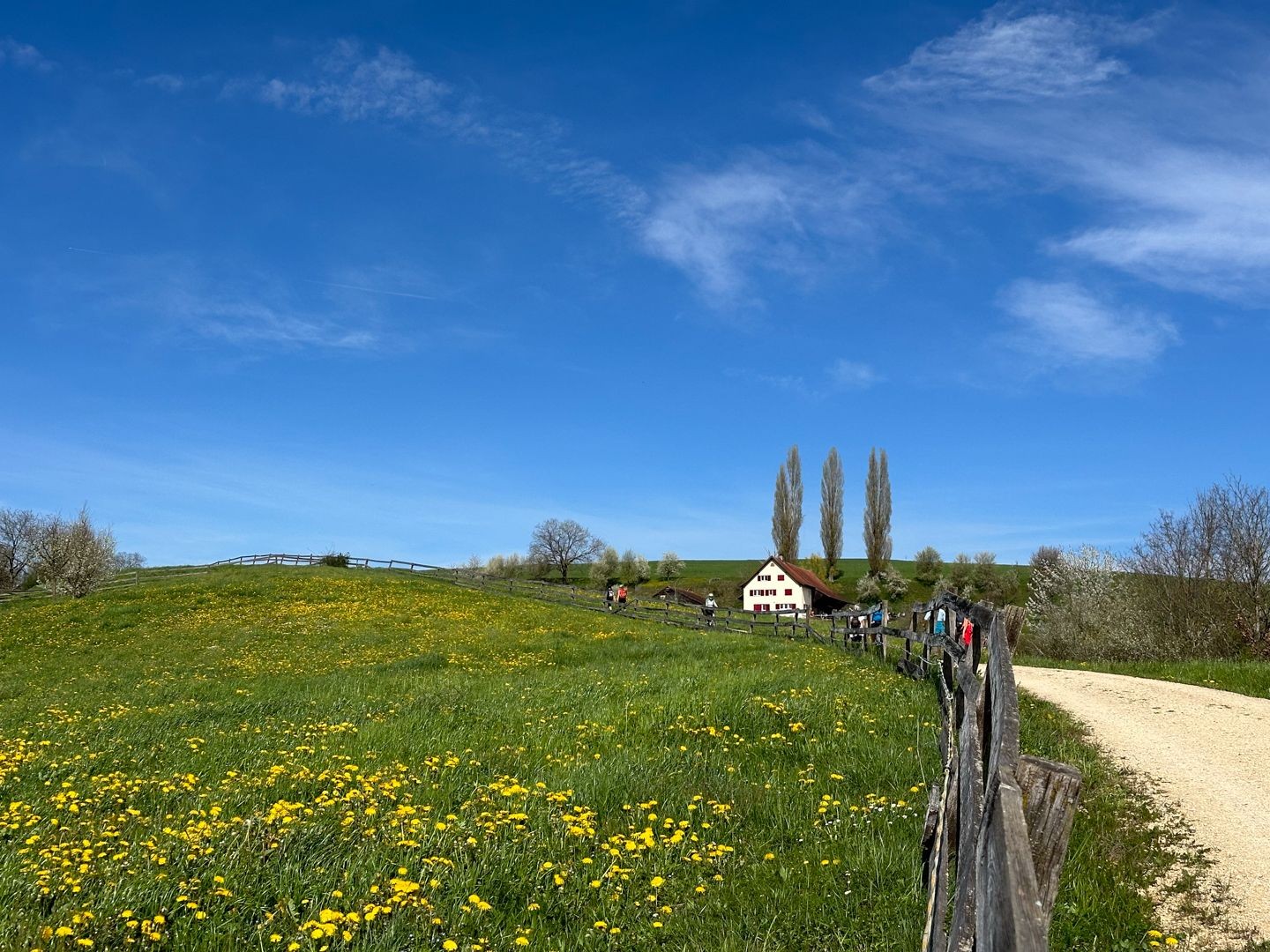 Auf dem Weg zum Wendelhof